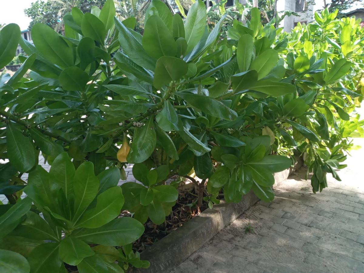 Tharul Home Bentota Exterior photo